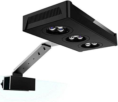 نور آکواریوم اسپکترا