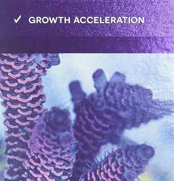 ای اف بیلد Aquaforest