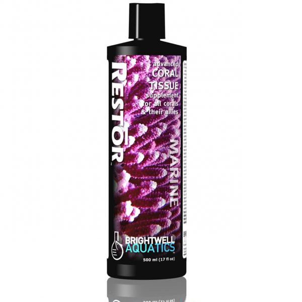 رستور ترمیم کننده ساختارهای مرجانی