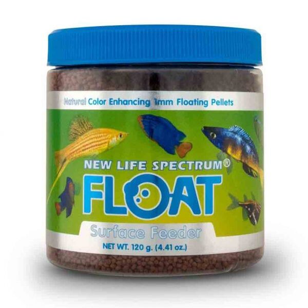 غذای گرانولی رو آبی فلوت