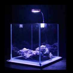 نور زدلایت مینی - تصویر 2