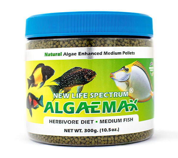 غذای مخصوص ماهیان دریایی گیاه خوار