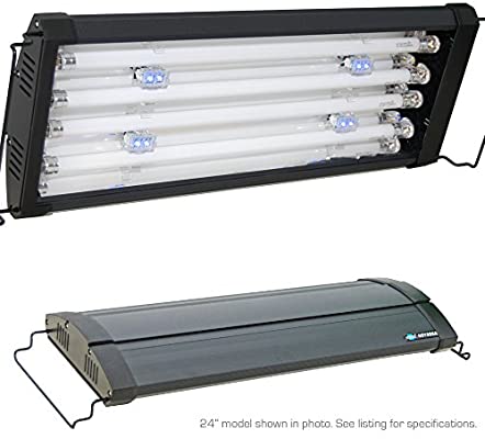 قاب مهتابی تی فایو چهارتایی