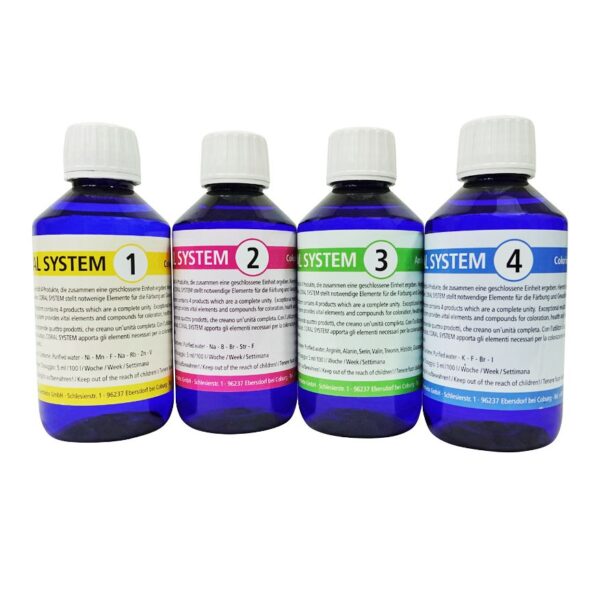 ست کورال سیستم